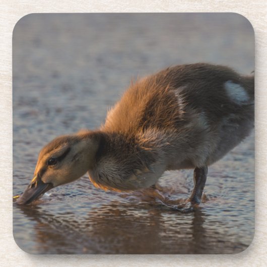 Thirsty Baby Untersetzer (Vorderseite)