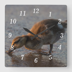 Thirsty Baby Wall Clock Quadratische Wanduhr