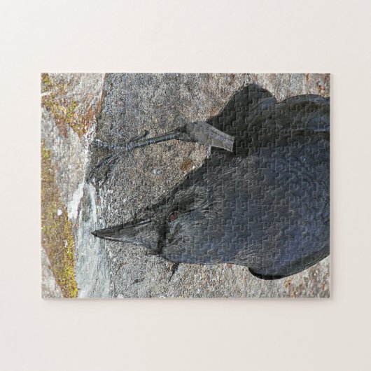 Thirsty Crow trinkt Puzzle (Horizontal)