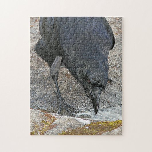 Thirsty Crow trinkt Puzzle (Vertikal)
