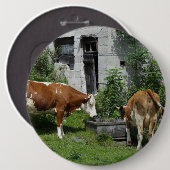 Thirsty Fleckvieh Button (Vorne & Hinten)