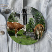 Thirsty Fleckvieh Button (Beispiel)