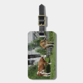 Thirsty Fleckvieh Gepäckanhänger (Vorderseite vertikal)