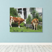 Thirsty Fleckvieh Leinwanddruck (Insitu (Holzboden))