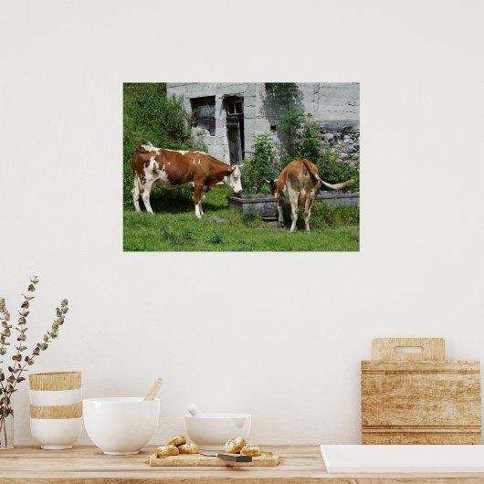 Thirsty Fleckvieh Poster (Küche)