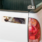 Thirsty Girl Drinking aus einem Jug (Landschaft de Autoaufkleber (Auf Lkw)
