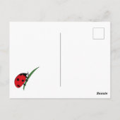 Thirsty Ladybug Postkarte (Rückseite)