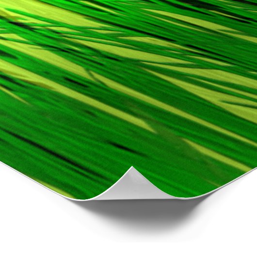 Thirsty Turtle Poster (Ecke)