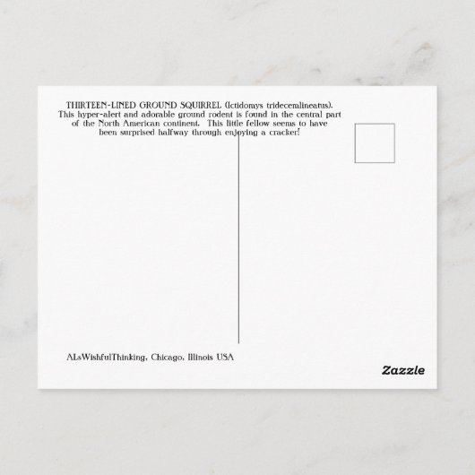 Thirteen-Lined Ground Squirrel Postkarte (Rückseite)