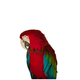 This elegant t-shirt design hoodie