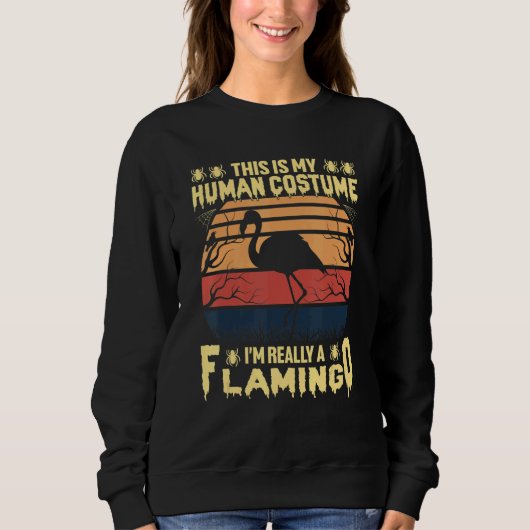 This is My Human Costume I'm Really a Flamingo Hal Sweatshirt (Vorderseite)