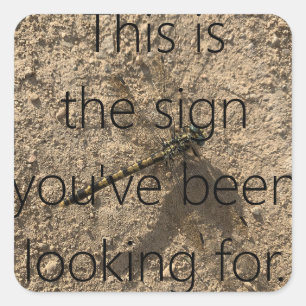 This is the sign you ve been looking for. quadratischer aufkleber