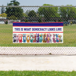 This is What Democracy Looks Like Protest Banner