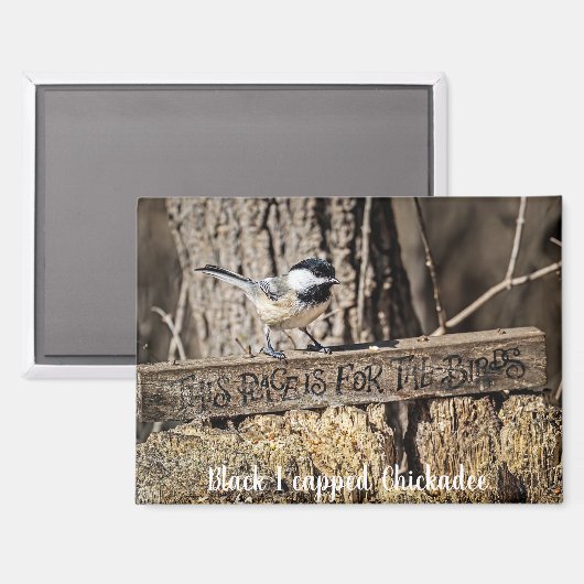 This place is for the birds magnet (Vorderseite/Rückseite)