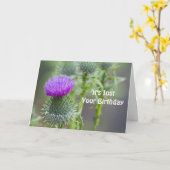 Thistle Birthday Card Karte (Gelbe Blume)
