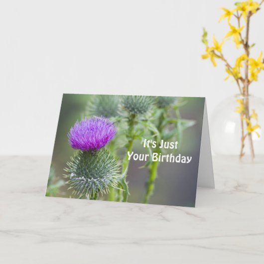 Thistle Birthday Card Karte (Gelbe Blume)