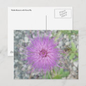 Thistle Blossom & Bee Fly Postcard Postkarte (Vorne/Hinten)