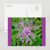 Thistle Blossom Postkarte (Vorne/Hinten)