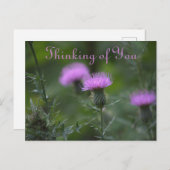 Thistle Blume Denken Sie an Postkarte (Vorne/Hinten)