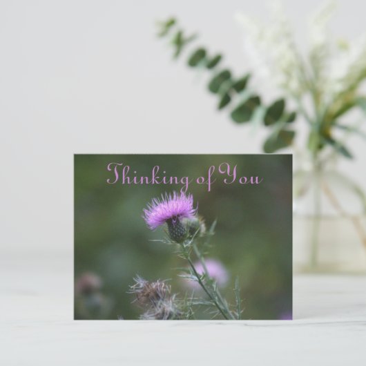 Thistle Blume Denken Sie an Postkarte (Stehend Vorderseite)