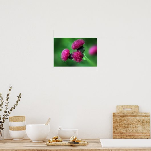 Thistle Blume Poster (Küche)
