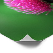 Thistle Blume Poster (Ecke)
