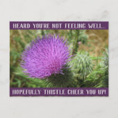 Thistle Chee up Get Well Postcard Postkarte (Vorderseite)