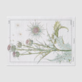 Thistle, die Botany-Serie von Eugene Grasset Seidenpapier (Vorderseite)