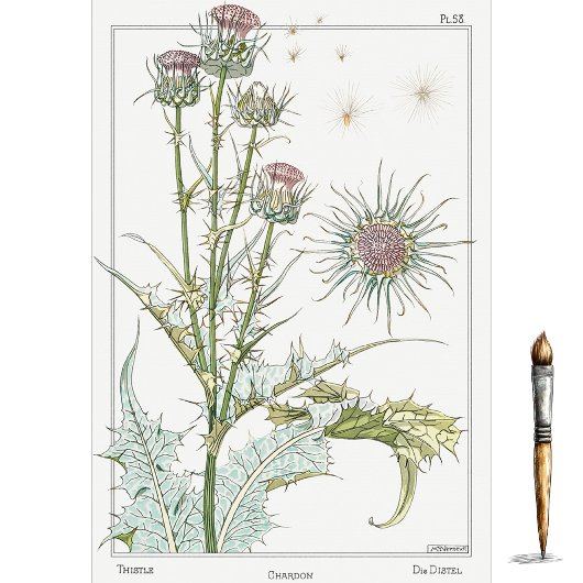 Thistle, die Botany-Serie von Eugene Grasset Seidenpapier