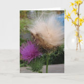 Thistle Flower and Down Card Karte (Gelbe Blume)