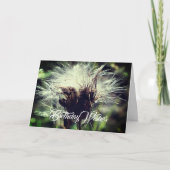 Thistle Fluff Blume individuell auf den Geburtstag Karte (Vorderseite)