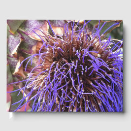 Thistle Fotografic Gästebuch