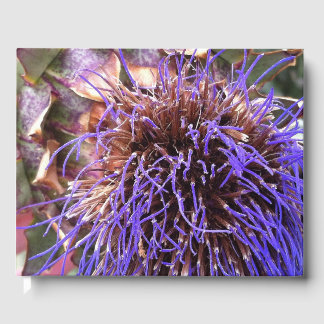 Thistle Fotografic Gästebuch