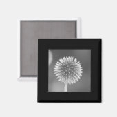 Thistle Magnet (Vorderseite/Rückseite)