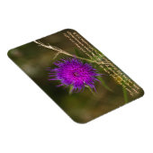 Thistle Magnet mit Skriptersatz Verse (Rechte Seite)