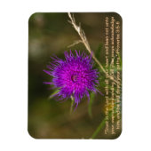 Thistle Magnet mit Skriptersatz Verse (Vertikal)