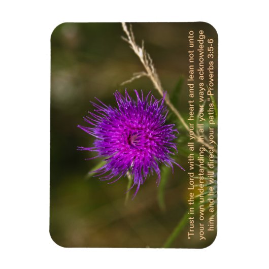 Thistle Magnet mit Skriptersatz Verse (Vertikal)