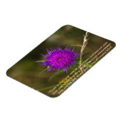 Thistle Magnet mit Skriptersatz Verse (Linke Seite)