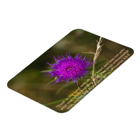 Thistle Magnet mit Skriptersatz Verse (Linke Seite)