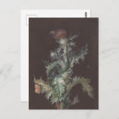 Thistle mit Insekten 1755 Johann C. Dietzsch Postkarte (Vorne/Hinten)