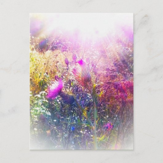 THISTLE POSTCARD POSTKARTE (Vorderseite)