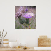 Thistle Poster (Küche)