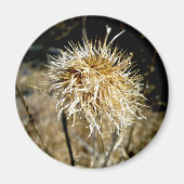 Thistle Seedhead Magnet (Vorne)
