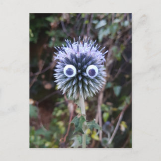 Thistle tun gut ... postkarte