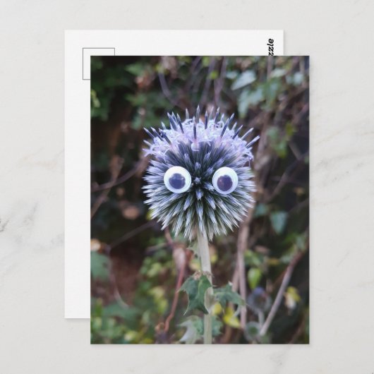 Thistle tun gut ... postkarte (Vorne/Hinten)