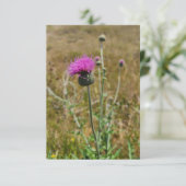 Thistle Vielen Dank Note Card Dankeskarte (Stehend Vorderseite)