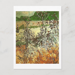 Thistles, Van Gogh Fine Art Postkarte
