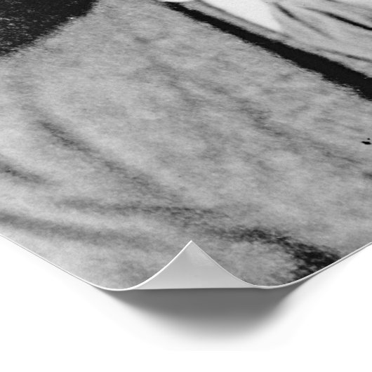 Thoby Stephen, c.1902 Poster (Ecke)