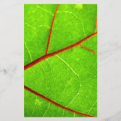 Thomas 1 briefpapier (Vorderseite)