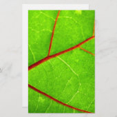 Thomas 1 briefpapier (Vorne/Hinten)